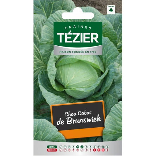 Chou Cabus De Brunswick