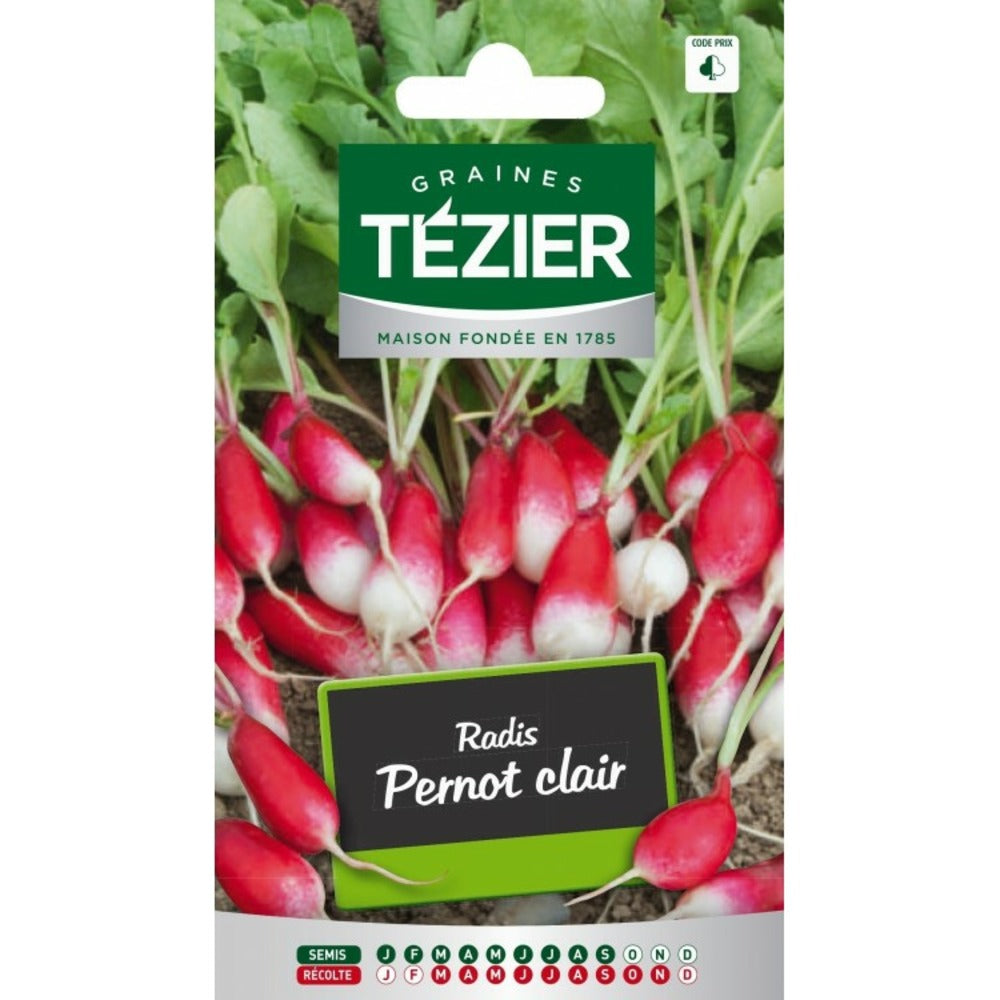Radis Pernot Clair