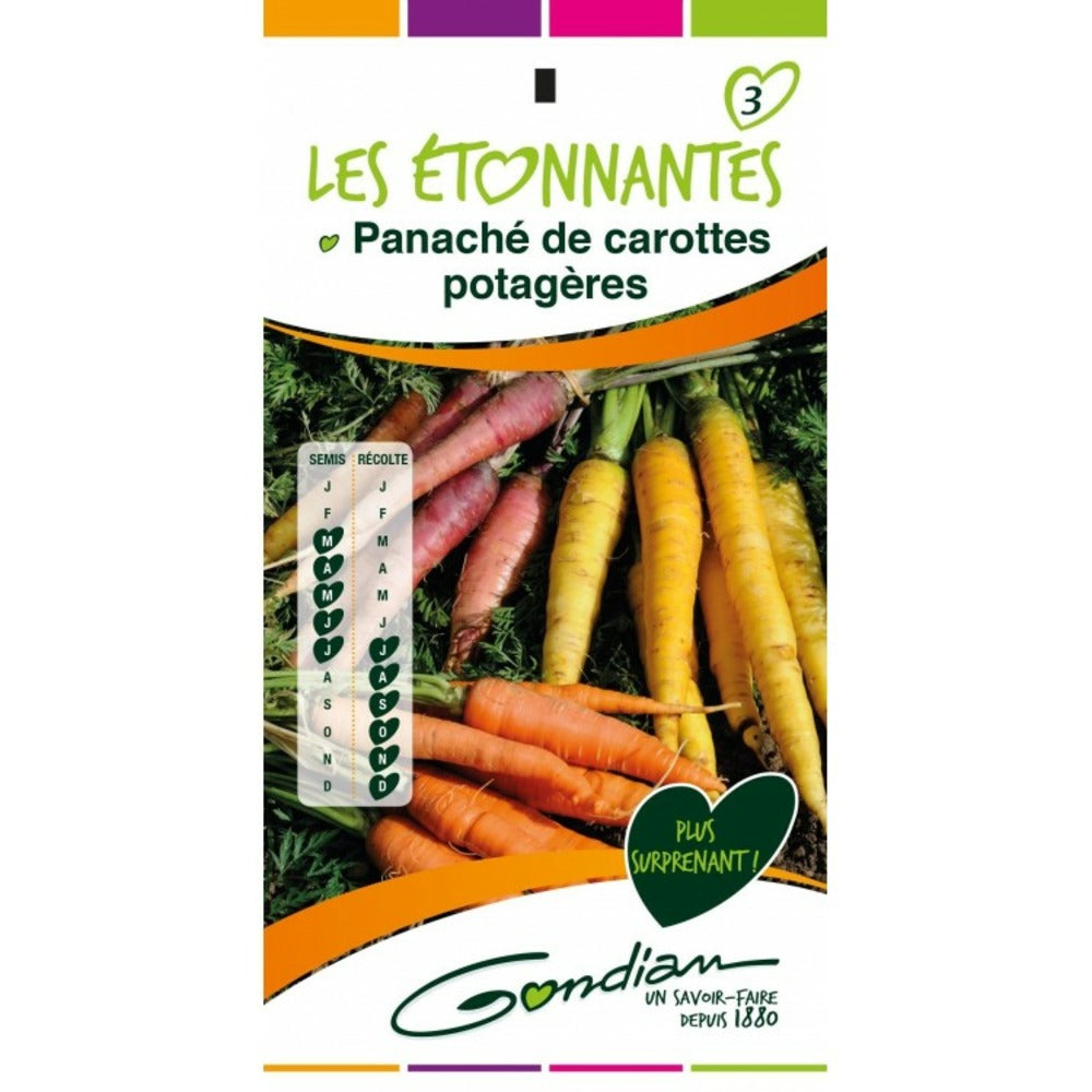 Carotte - Panaché De Carottes - Les Etonnantes