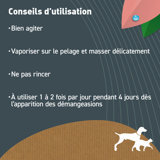 Lotion Anti-démangeaisons Chien Chat - Bio Certifié Ecocert- Tous Pelages- 240ml