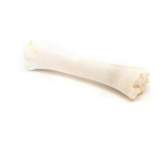 Gloria Snack Pour Chiens Os Calcium 20 Unités