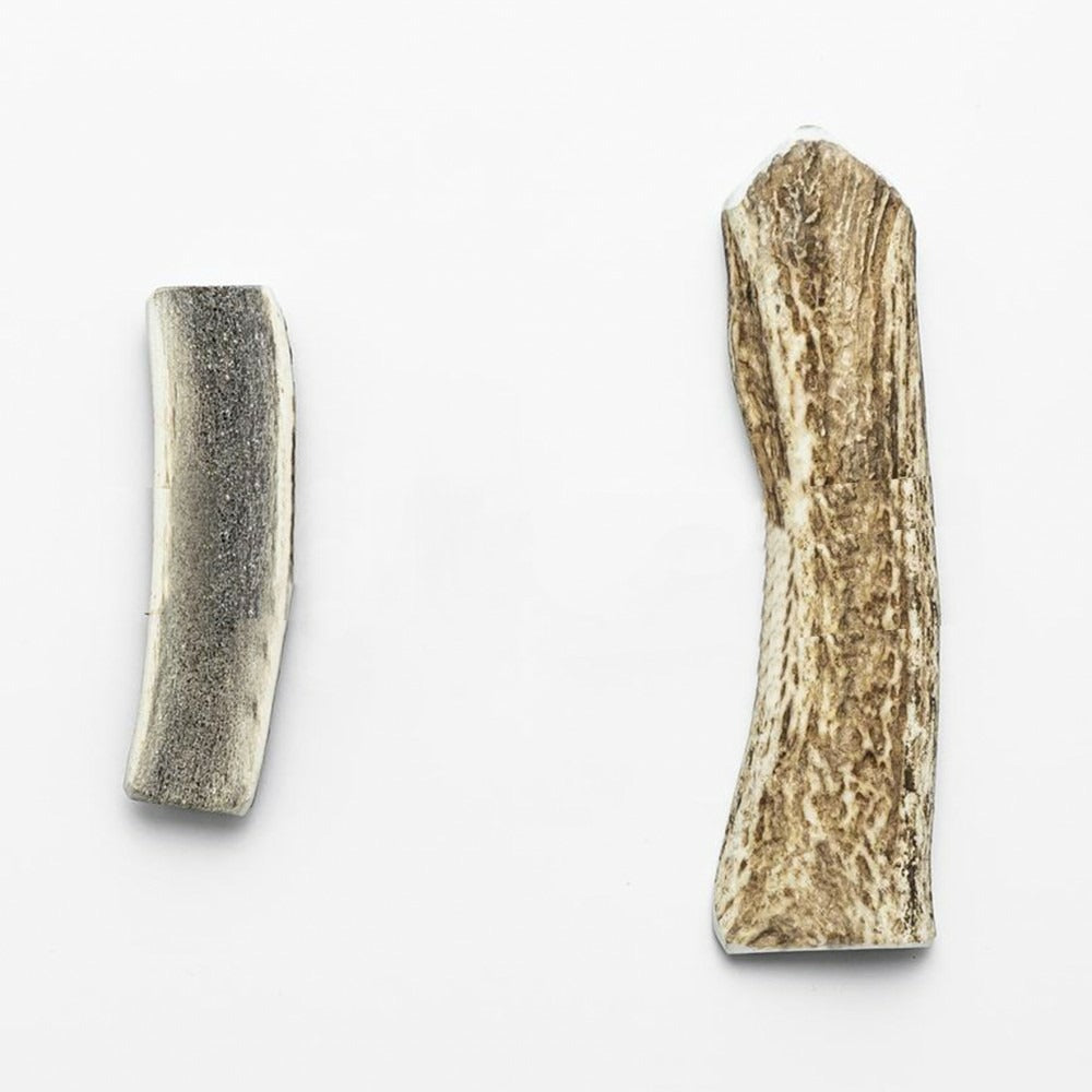 Jaja - Bois De Cerf Pour Chien Naturel Fendu à Mâcher, 10cm