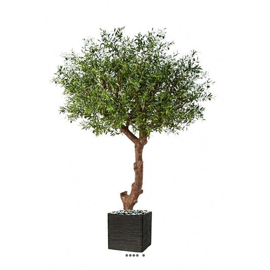 Superbe Olivier Majestueux Artificiel En Pot H 270 Cm