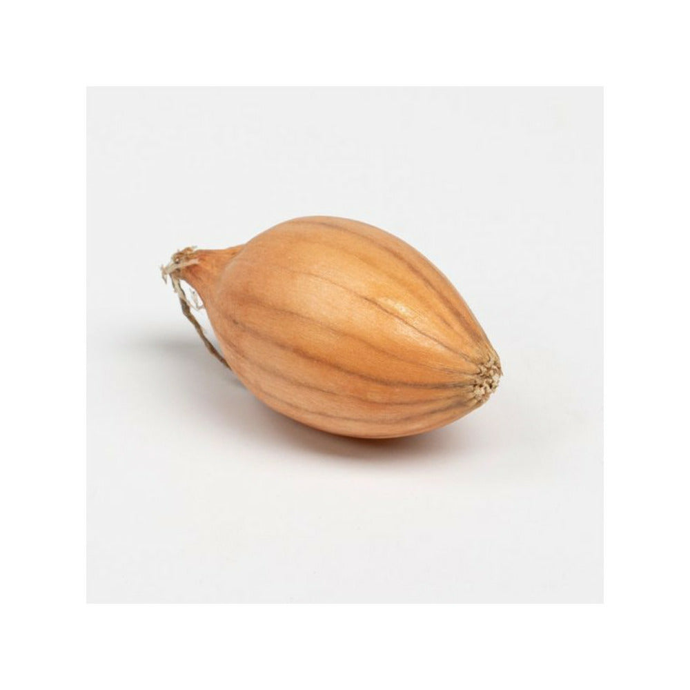 Sturon Bulbes D'oignons A Repiquer 500gr
