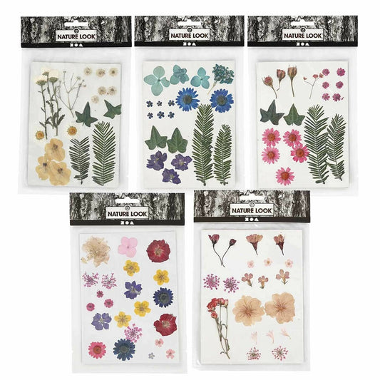 100 Fleurs Séchées Et Pressées Multicolores