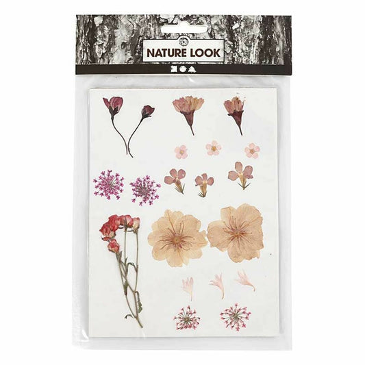 40 Fleurs Séchées Et Pressées - Rose Clair