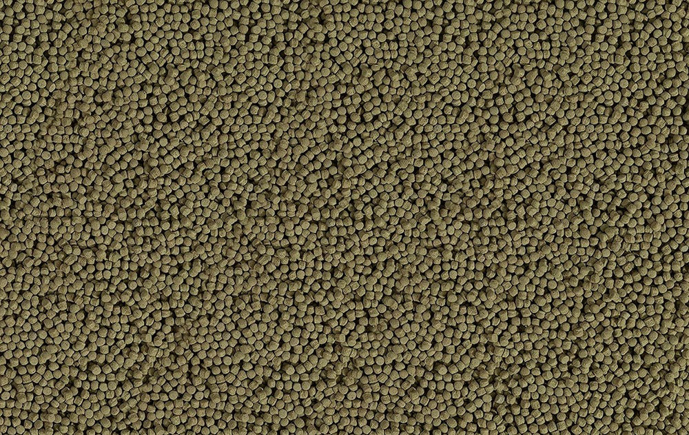 Tetra Koi Beauty Medium 10l (5mm)