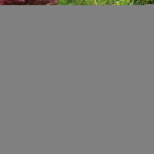 Nature Housse Pour Chaise Empilable De Jardin Pe 140x75x70 Cm 6031601