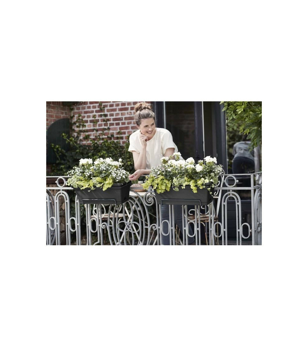 Elho Balconniere Green Basics Allin1 55 - Extérieur & Balcon - Xl - L 32,3 X W 56,4 X H 22,7 Cm - Vivre Noir