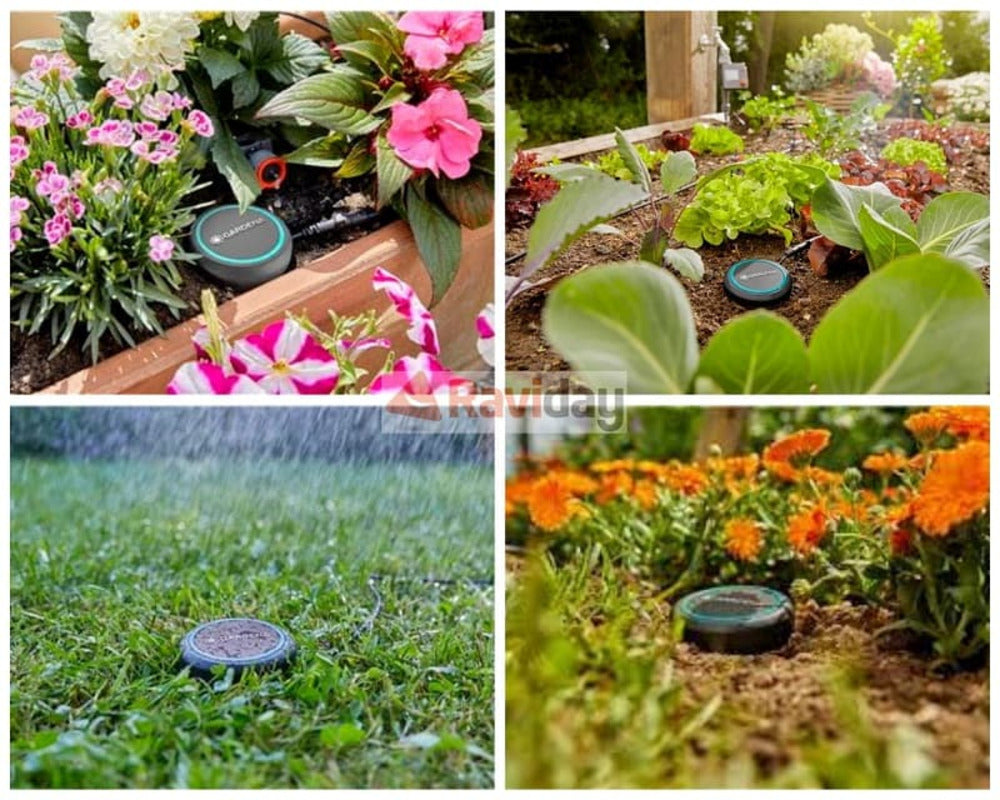 Sonde D'humidité Du Sol Gardena - Compatible Programmateurs D'arrosage