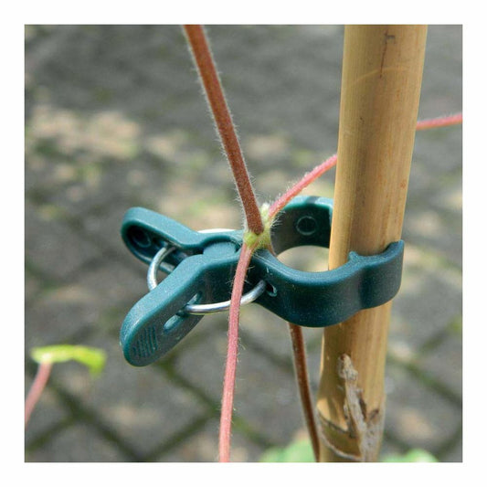 Pinces De Fixation En Plastique Pour Plantes Petit Modèle