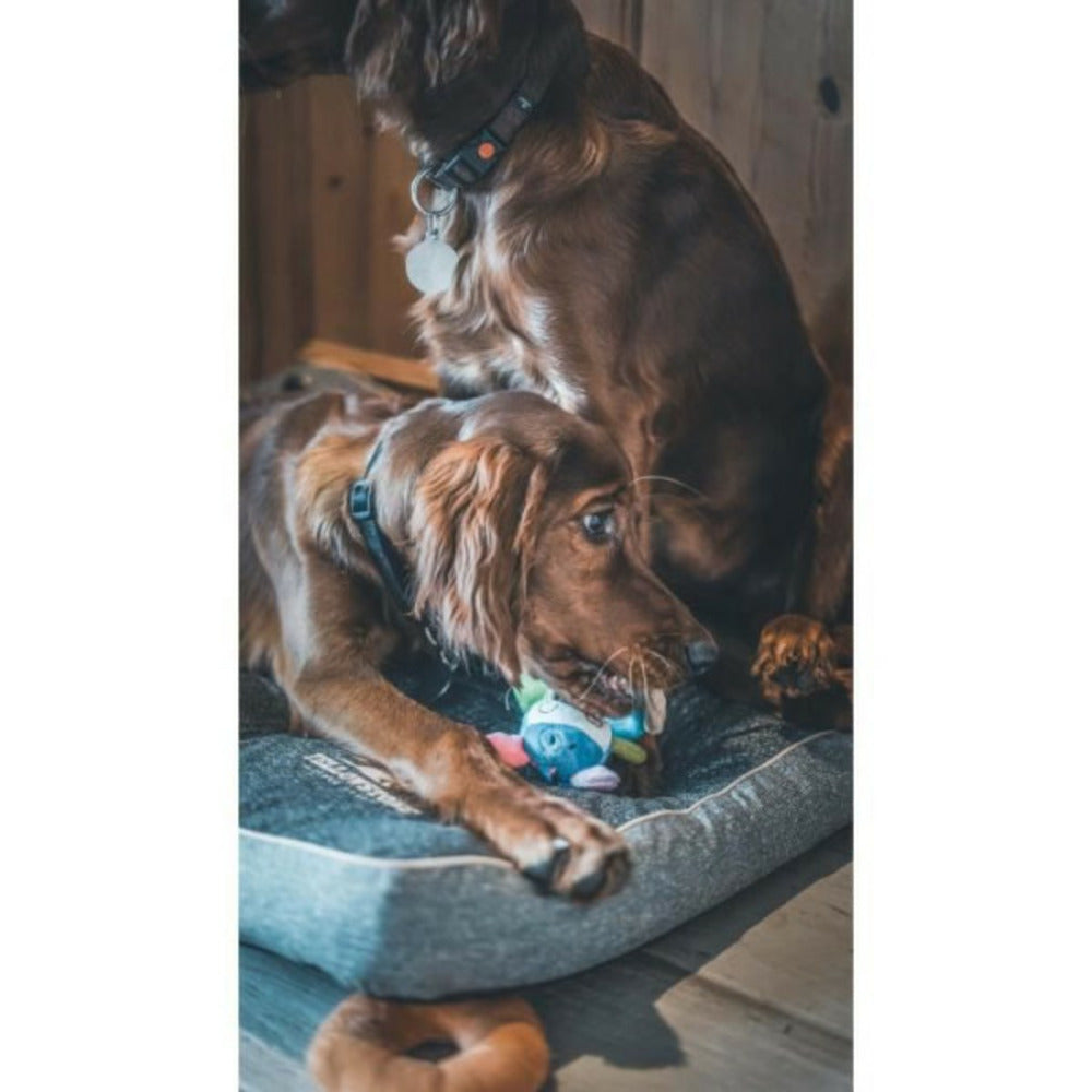 Mini Jouet Peluche Vache - Pour Chien