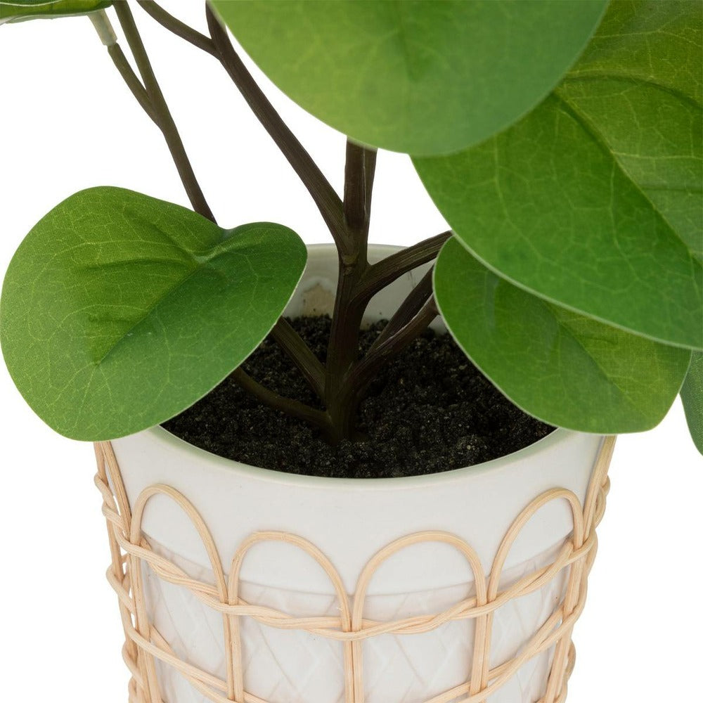 ATMOSPHERA Plante Artificielle Dans Pot En Céramique Et Rotin H 34 Cm