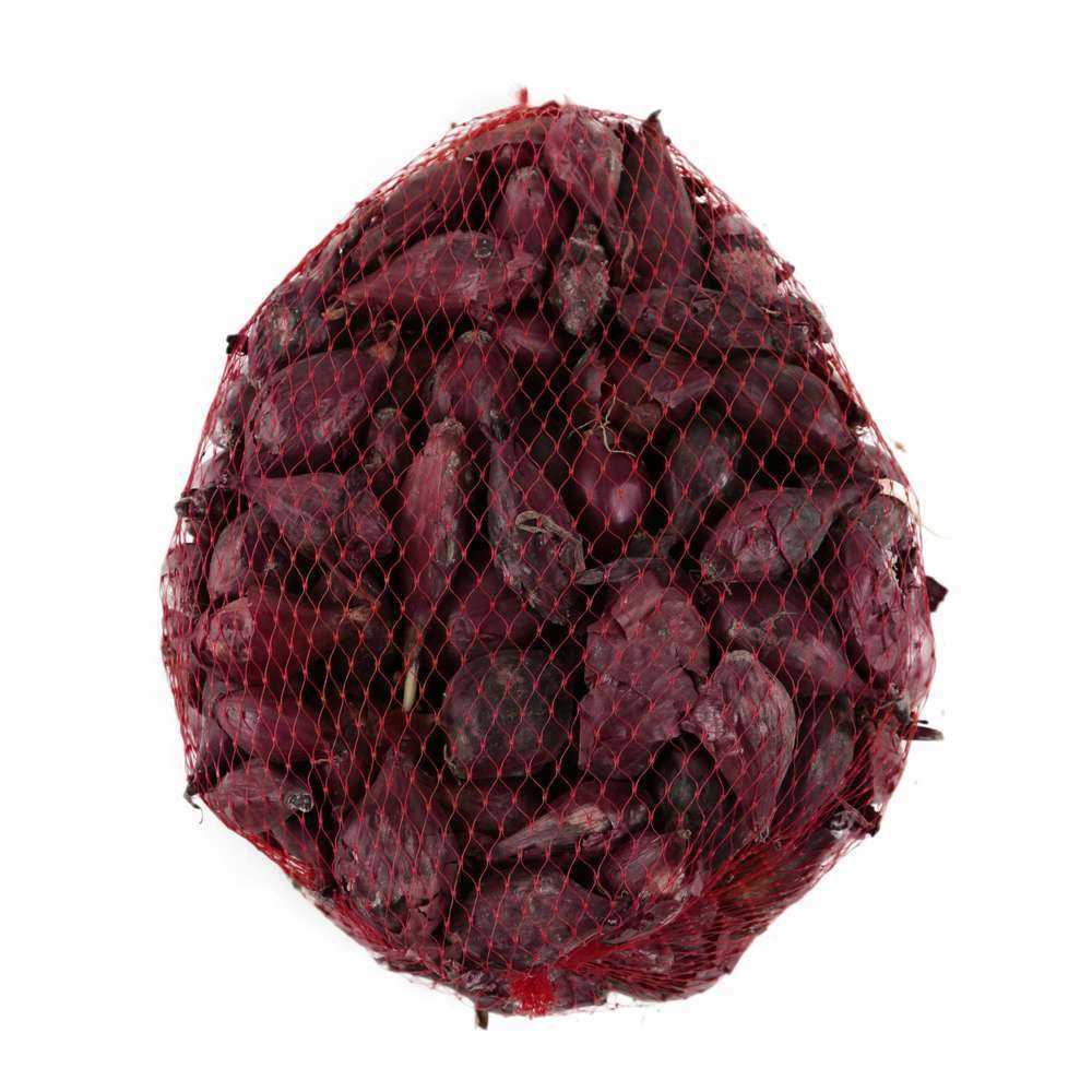 Bulbes D'oignons Rouges 'Red Baron' En Filet - 500 G