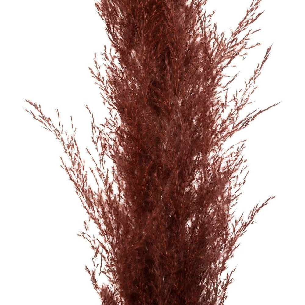 Set De 3 Fleurs Séchées "pampa Naturelle" - H110 Cm