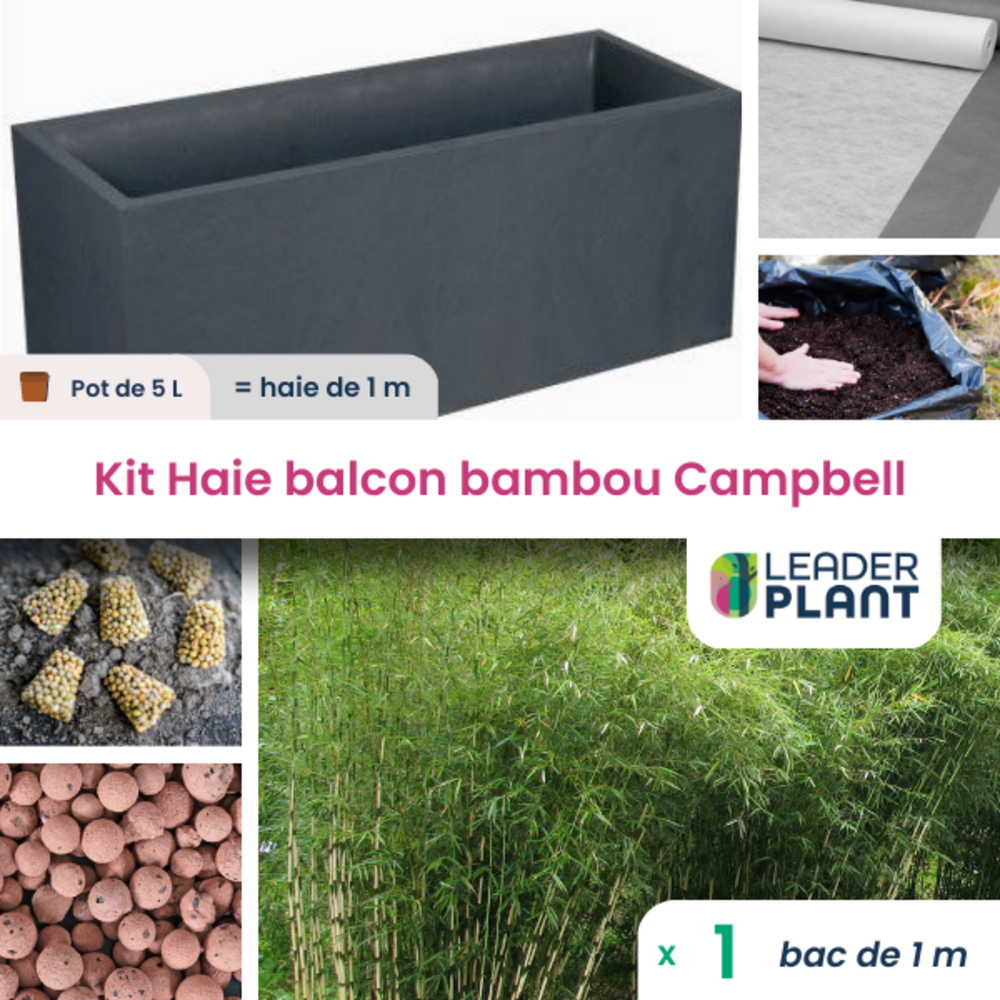 Kit Brise-vue Balcon Bambou Campbell 5 L