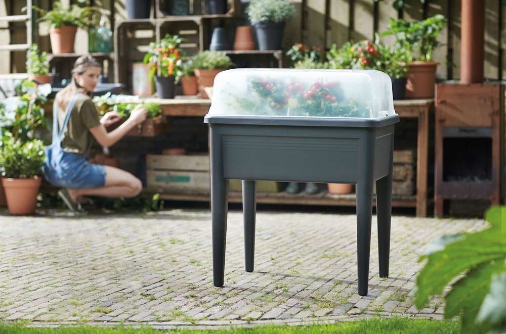 Elho Serre De Culture Pour Potager 'Green Basics' - L. 74,8 X L. 36,6 Cm