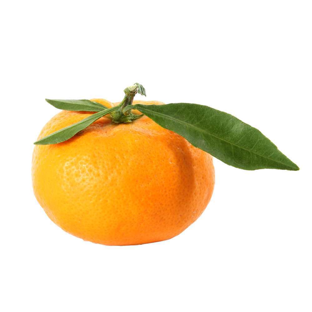 Mandarinier : C3L, Agriculture Biologique