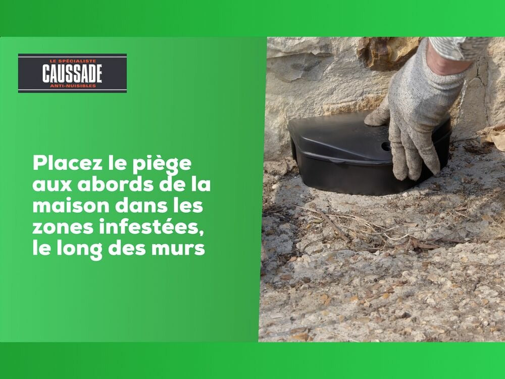 Carpt720 Lot De 4 Boîtes Raticide Canadien Pat'appât Fortes Infestatio