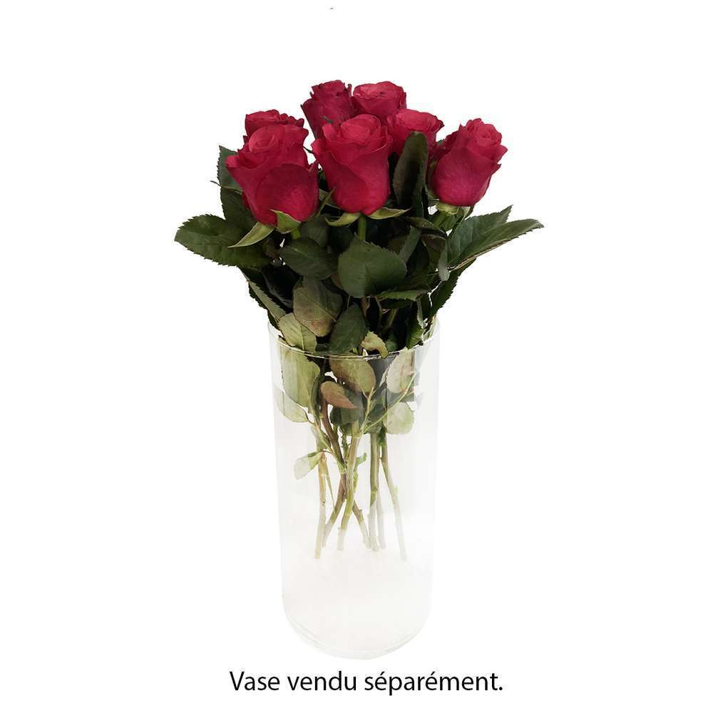 Botte De 7 Roses Rhodos Rouges