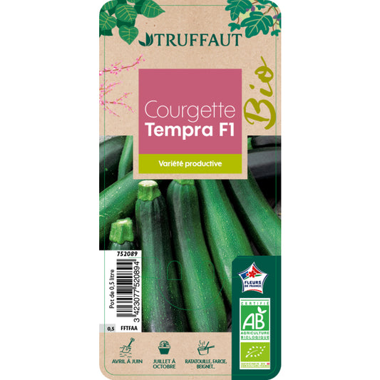 Plant De Courgette 'Tempra' F1 Bio : Pot De 0,5 Litre