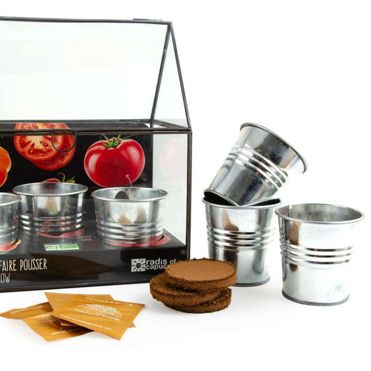 Chassis Noir Graines De Tomate Bio