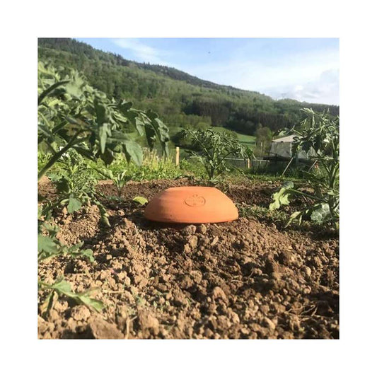 Céramique D'irrigation Ollas Jamet Origin N°3 - 3L