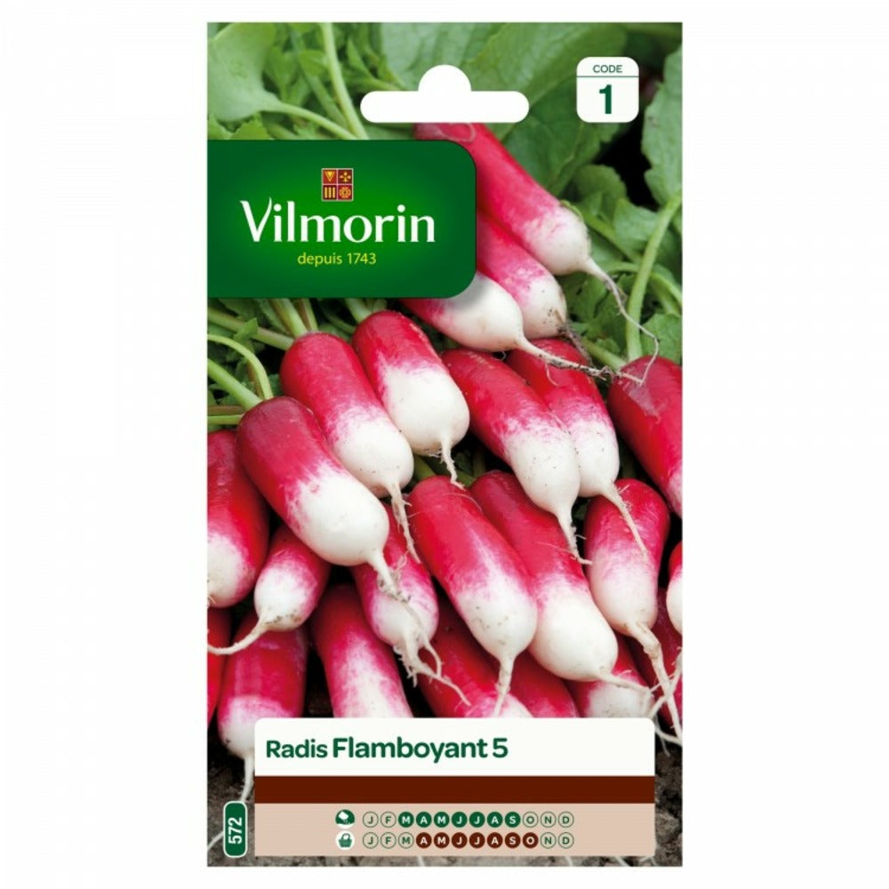 Sachet Graines Radis Flamboyant 5