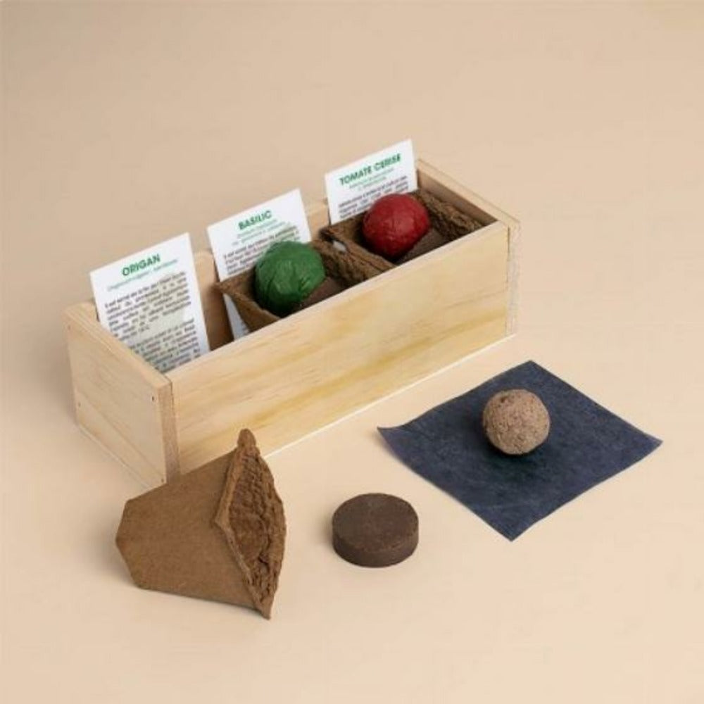 Kit D'auto-culture Complet Culinaire Pizza