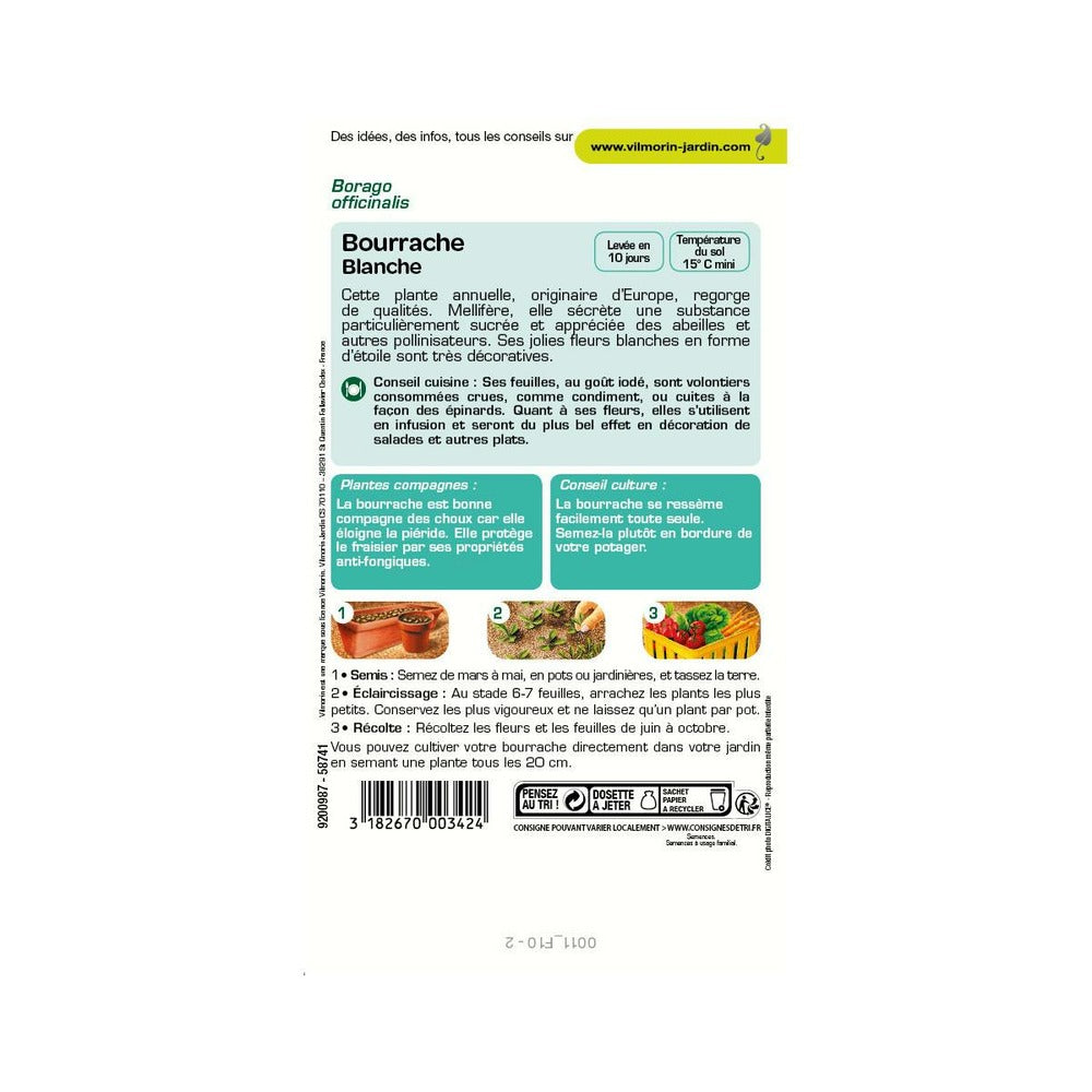 Sachet Graines Bourrache Blanche