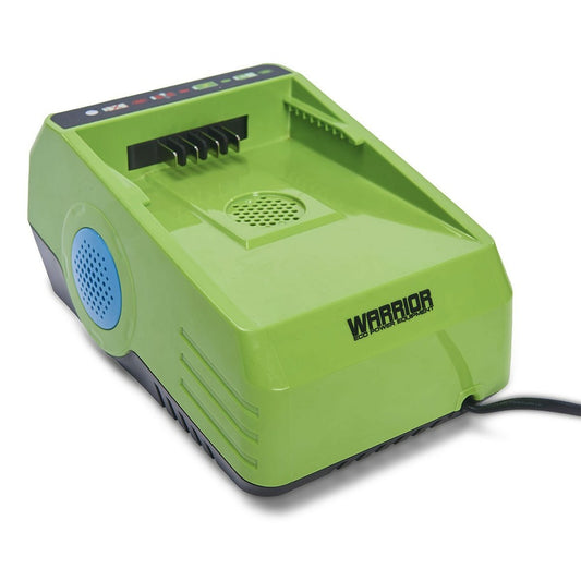 Chargeur De Batterie Lithium 60v Charge Rapide Warrior