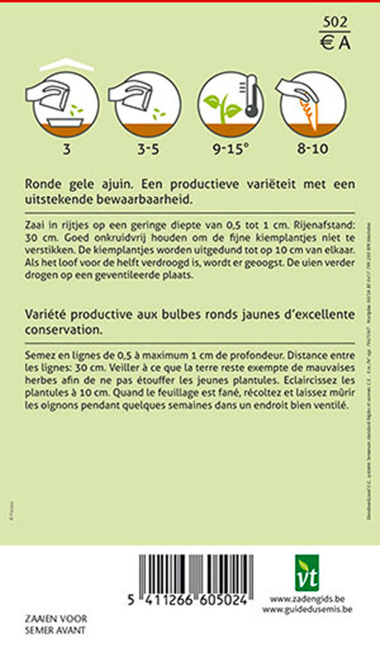 Oignon Rijnsburger - Ca. 4 Gr (livraison Gratuite)