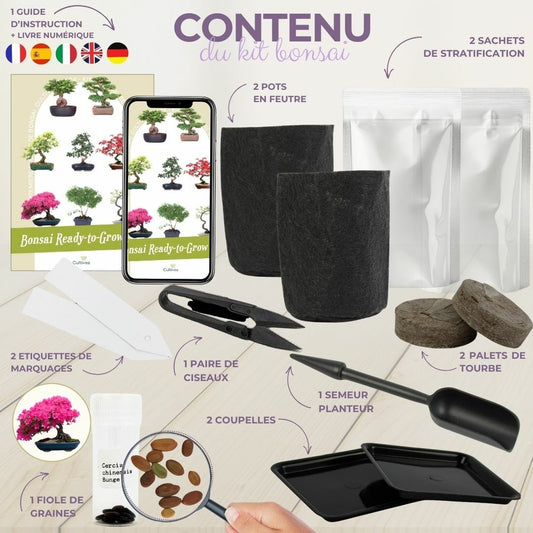 Cultivea - Kit First Bonsai - Graines De Cercis Chinensis Avec Accessoires