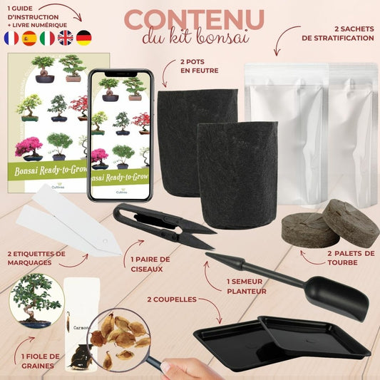 Kit First Bonsaï Carmona Avec Accesoires