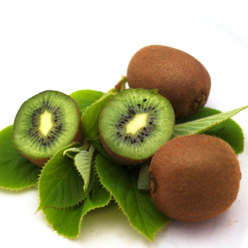  Kiwi Chinensis Solo (autofertile)/[-]pot De 3l - Echelle Bambou 60/120 Cm