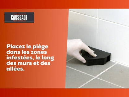  Carpt400 Raticide Canadien Forte Infestation Appât Prêt à L'emploi Nou