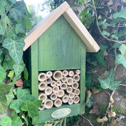  Hôtel à Insectes - Coloris Aléatoire