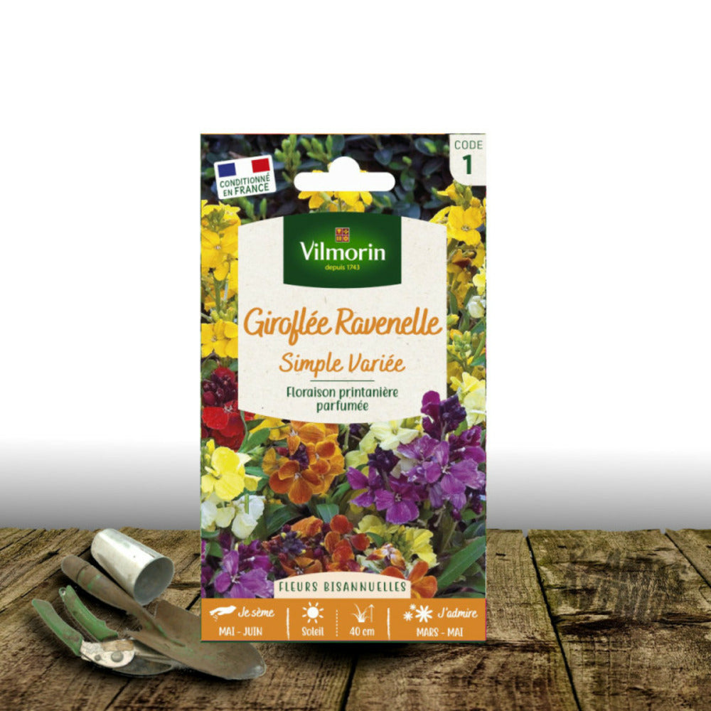  Graines De Giroflée Ravenelle Variée - Vilmorin/[-]sachet