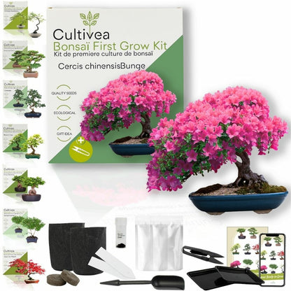  Cultivea - Kit First Bonsai - Graines De Cercis Chinensis Avec Accessoires