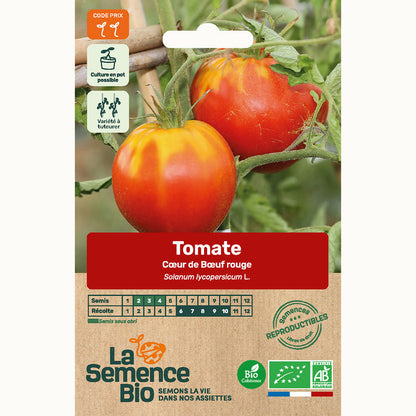  Tomate C Ur De B Uf Rouge - Graines Bio