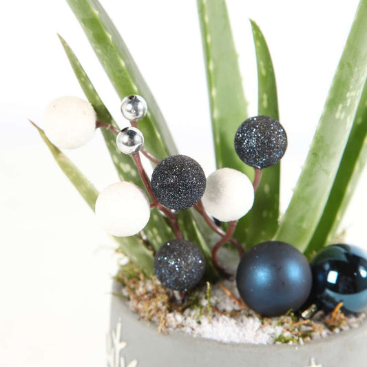  Aloe Vera, Décors Thème Montagne : Pot D.11 Cm - H.35 Cm