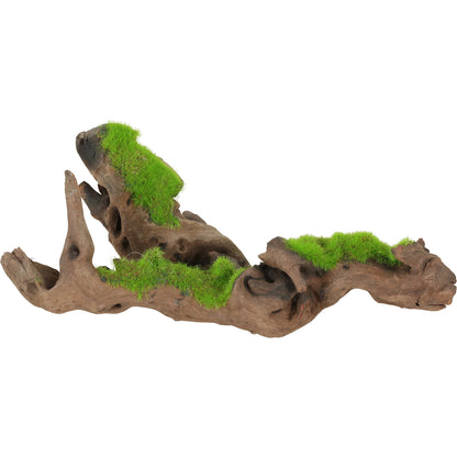 Zolux Racine De Malaisie Kipouss Pour Aquarium Taille S