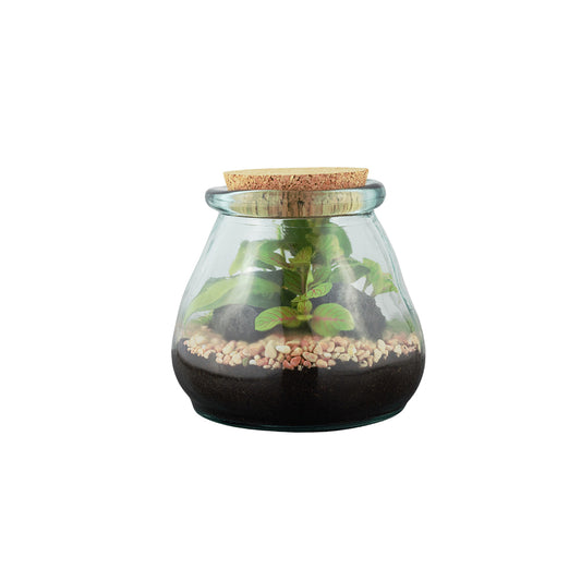  Terrarium 'Bila Uso' S : D.12cm - H.12cm