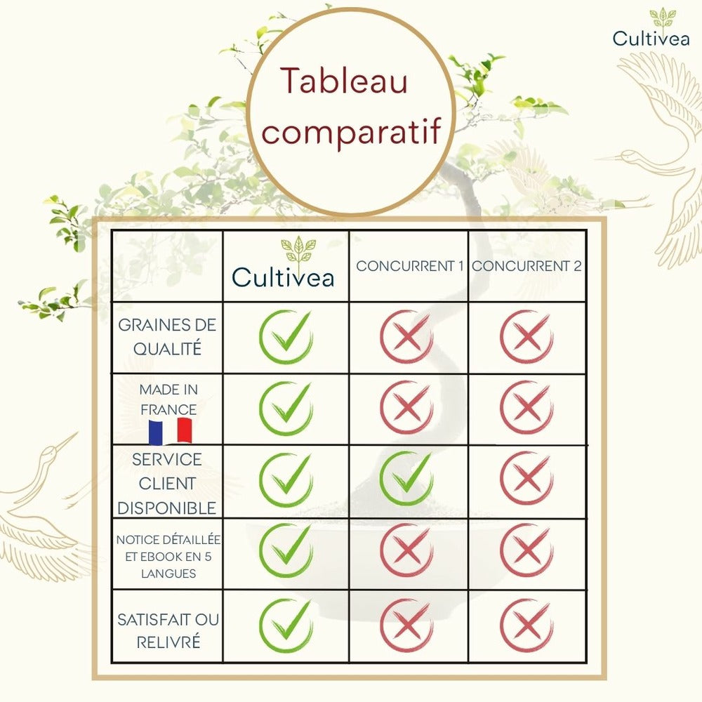  Cultivea - Kit First Bonsai Hackberry Avec Accesoires