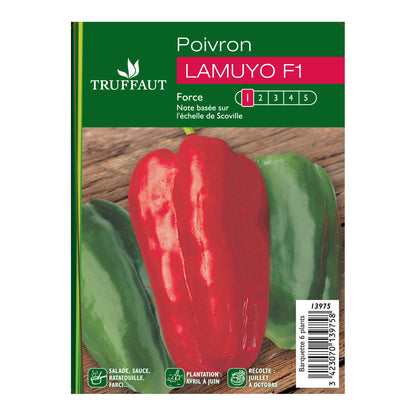  Plants De Poivrons 'Lamuyo' F1 : Barquette De 6 Plants