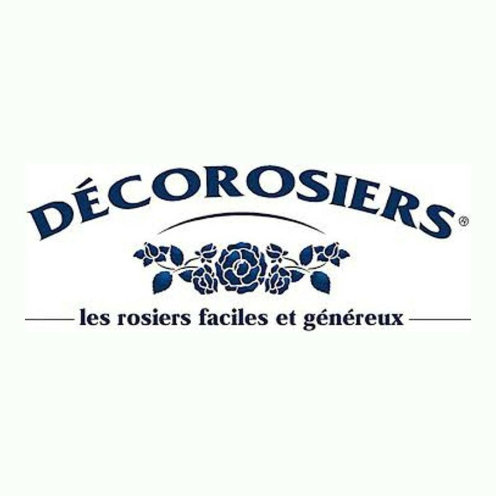  Rosier Arbustif Decorosier® Kadora® 'noa 83100 B'/[-]pot De 5l - 40/60 Cm