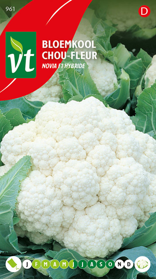 Chou-fleur Siria F1 Hybride - Ca. 0,3 Gr (livraison Gratuite)