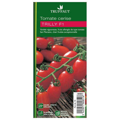  Plant De Tomate 'Trilly' F1 : Pot De 0,5 Litre