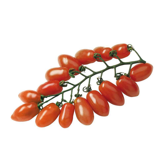  Plant De Tomate 'Trilly' F1 : Pot De 0,5 Litre