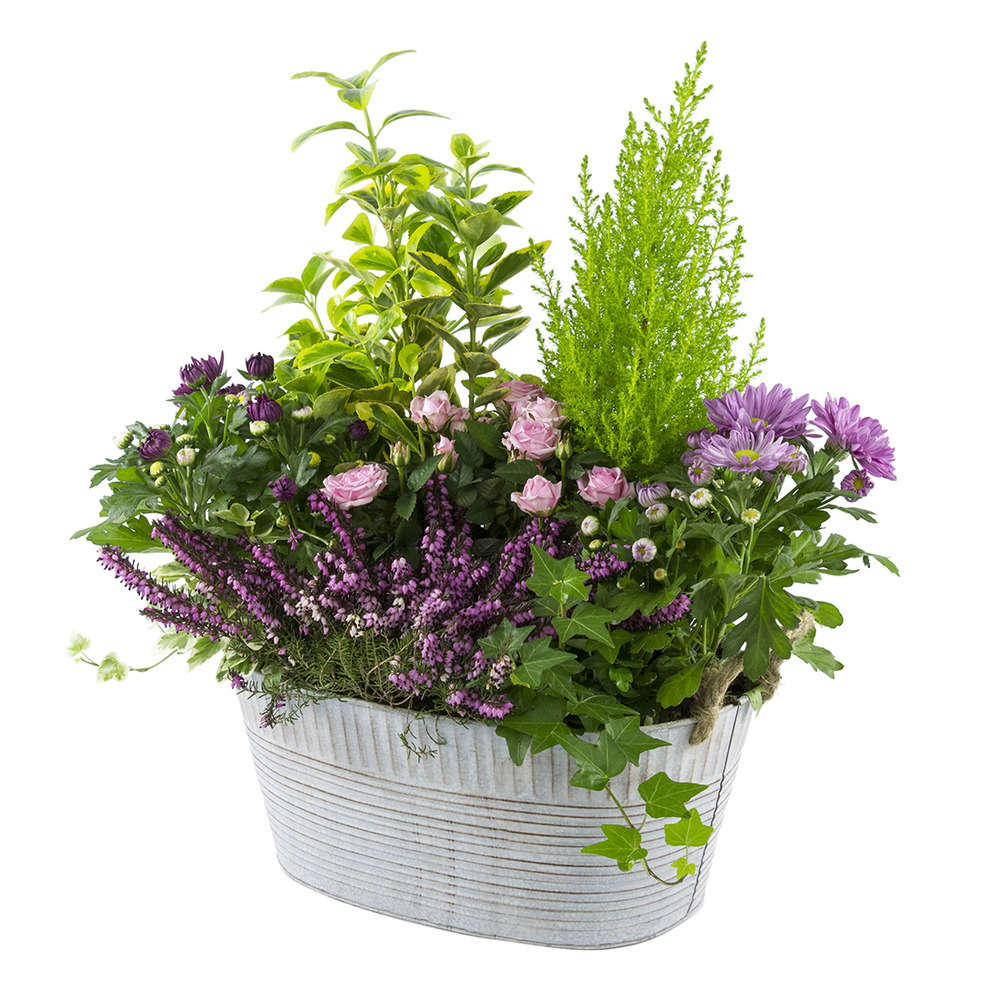  Composition D’Automne : Bassine Zinc, Ø 30 cm - - Coloris Variables